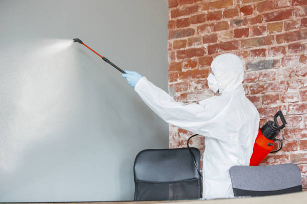 Best Commercial Mold Inspection  in Greenville, AL