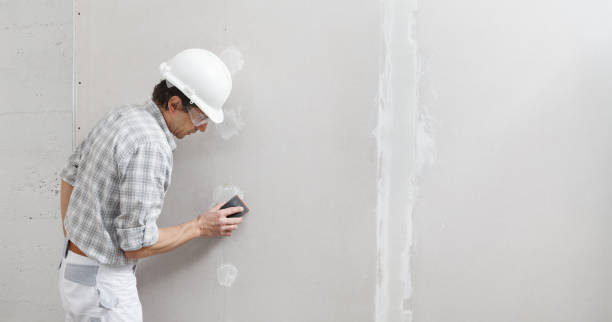 Best Mold Odor Removal Services  in Greenville, AL