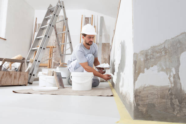 Best Forensic Mold Investigation  in Greenville, AL