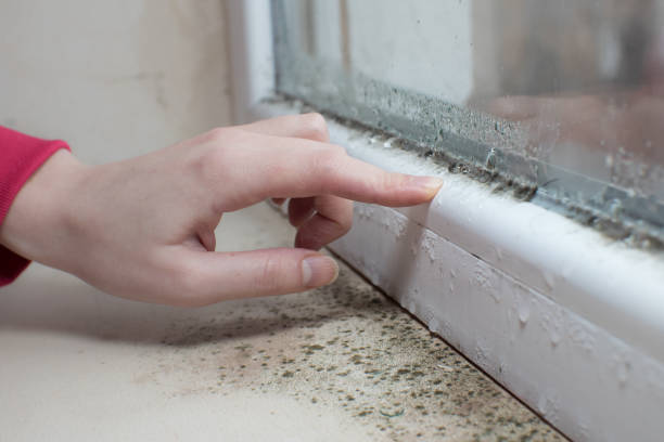 Best Industrial Mold Remediation  in Greenville, AL