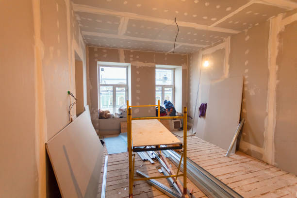 Trusted Greenville, AL Mold Removal Experts